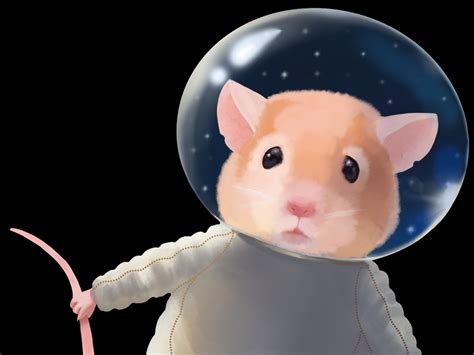 NASA just launched 20 mice into space on a SpaceX rocket while their ...