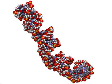 MicroRNA Biomarkers Show Potential for Alzheimer's Diagnosis