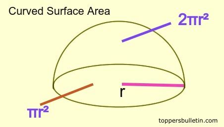 Area of Hemisphere (Curved and Total Surface Area)| Formulas – Toppers ...