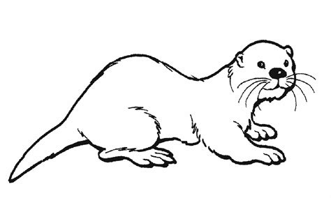 Otter Coloring Pages Printable Coloring Pages