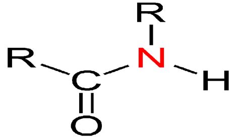 Draw the condensed structural formula for the following amid | Quizlet