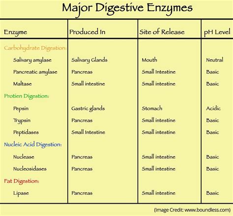 Pin on Health-Emzymes