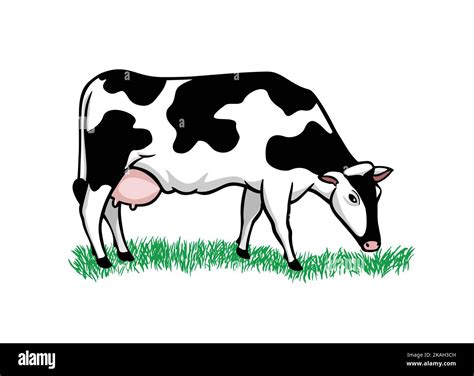 Cute cow on white eating grass Stock Vector Image & Art - Alamy