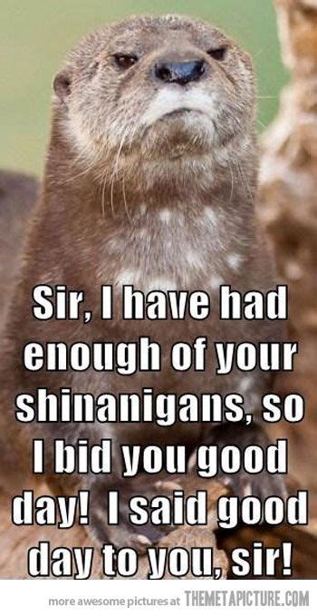 45 best Otter puns images on Pinterest | Otters, Funny animal and Funny ...