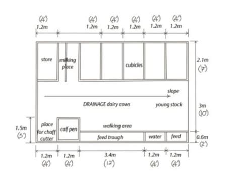 Cowshed design | Cow shed, Cow shed design, Shed floor plans