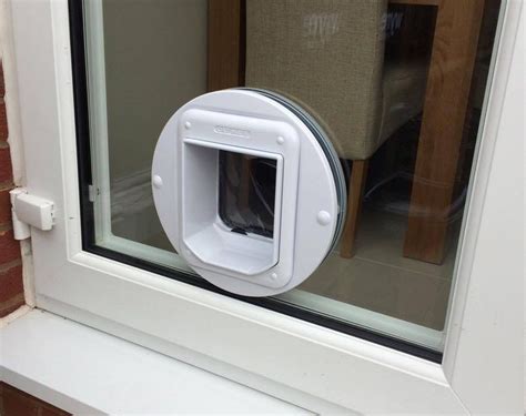 How to Find Affordable Cat Flap Installation - Boxed Pages