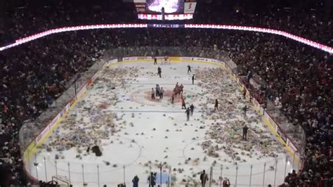 Hockey Fans Bombarded The Ice Right After A Goal, 10 Seconds Later I ...