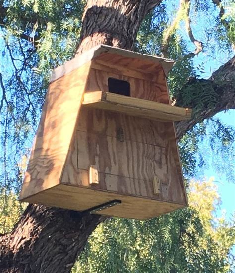 Barn Owl Nesting box | Etsy in 2020 | Owl nesting, Owl house, Barn owl