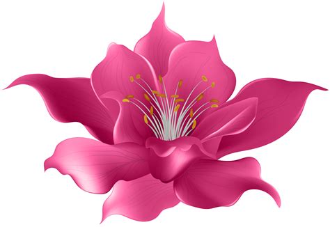 Magnolia clipart magnolia flower, Magnolia magnolia flower Transparent ...