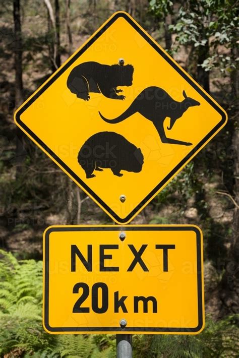 Image of Yellow road sign warning of native animals next 20 km ...