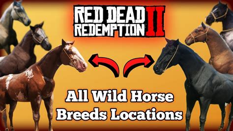 All Wild Horse Breed Locations in Red Dead Redemption 2 - YouTube