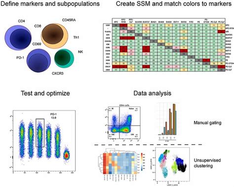 Antibodies for Flow Cytometry - Creative Diagnostics