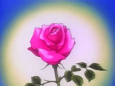 22 Amazing Roses Animated Gifs at Best Animations