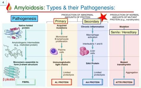 Amyloidosis