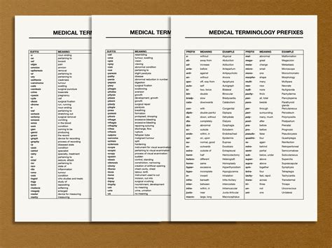 Medical Terminology List, Printable Pdf Medical Prefixes and Suffixes ...