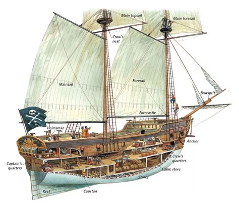 Image result for caravel ship layout | Pirate ship, Sailing ships, Pirates