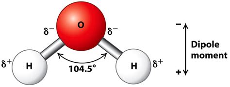 Food Science Corner: The Chemistry of Water - An exclusive community ...