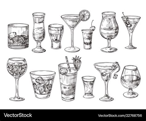 Hand drawn cocktail alcoholic drinks in glasses Vector Image