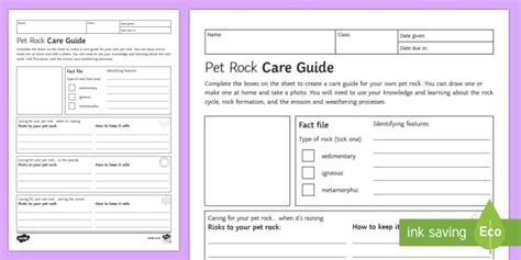 Pet Rock Care Guide Homework Worksheet / Worksheet