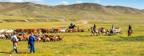 Mongol Nomadic Show Day tour - Discover Mongolia Travel