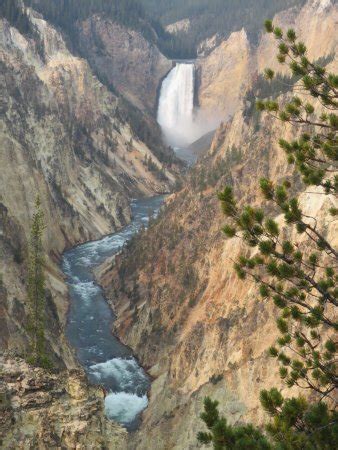 Buffalo Bus Day Tours (West Yellowstone) - All You Need to Know Before ...