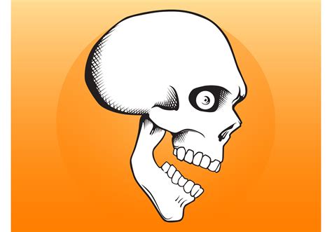 Cartoon Skull - Download Free Vector Art, Stock Graphics & Images