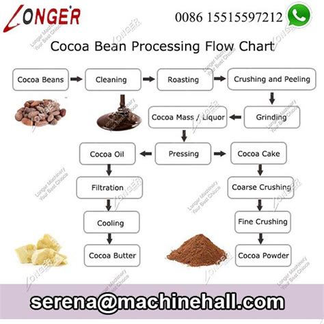 Cocoa Bean Processing Flow Chart in Factory | Cocoa powder, Cocoa ...