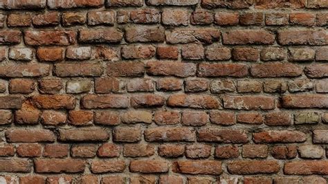 FREE 3D REALISTIC BRICK TEXTURE BLENDER free 3D model | CGTrader