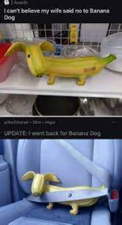 Banana Dog Blank Template - Imgflip