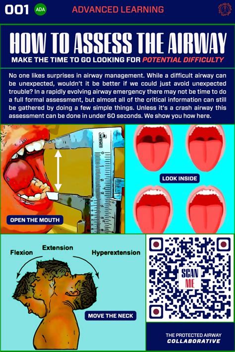 Introduction to the Anatomically Difficult Airway – The Protected ...