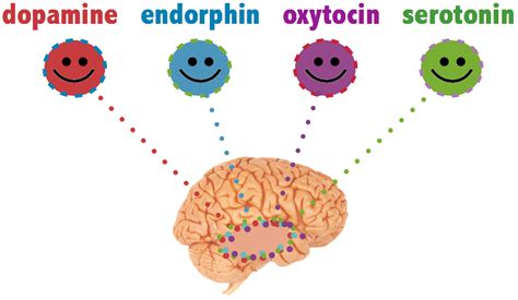 Understanding User Psychology: Meet Your Happy Chemicals | Sachin Rekhi