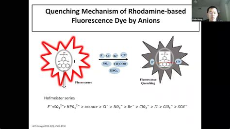 Quenching Mechanism of Rhodamine-based Fluorescence Dye by Anions - YouTube