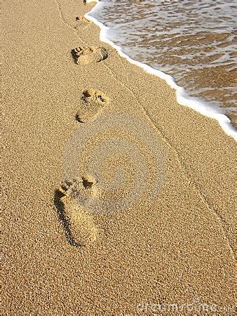 Footprints in the sand clipart 20 free Cliparts | Download images on ...