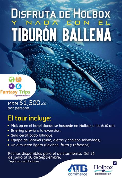 Fantasy Trips: Holbox / Tour Tiburón Ballena 2015