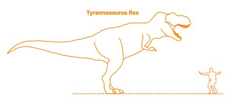 Tyrannosaurus | T-Rex (Tyrannosaurus Rex) Dimensions & Drawings ...