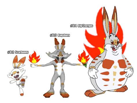 Scorbunny Evolution Line Revealed! | Pokémon Amino