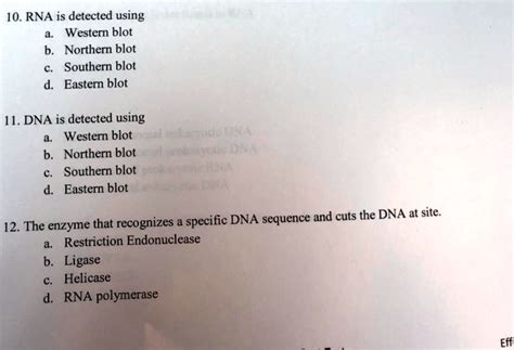 SOLVED: 10. RNA is detected using Western blot Northern blot Southern ...