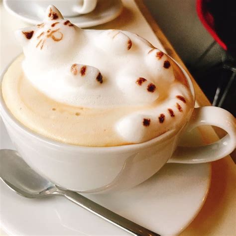 Latte Art Cute Cat ♡ | Ricette, Ricette di cucina, Ricette dolci