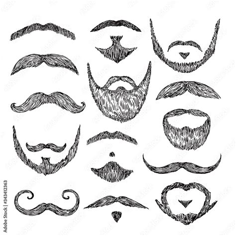 Sketch mustache. Drawing facial hair. Isolated patch mustaches, retro ...