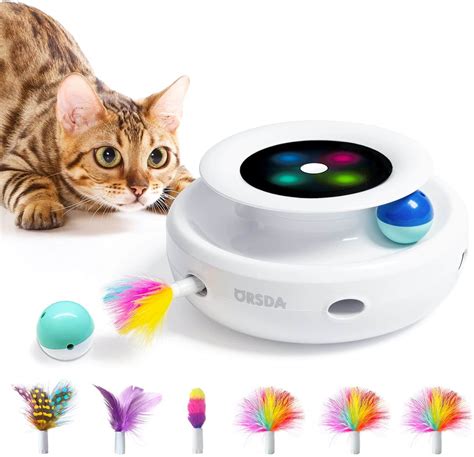 The Best 6 Interactive Cat Toys to Keep Your Kitty Busy - Veterinarians.org