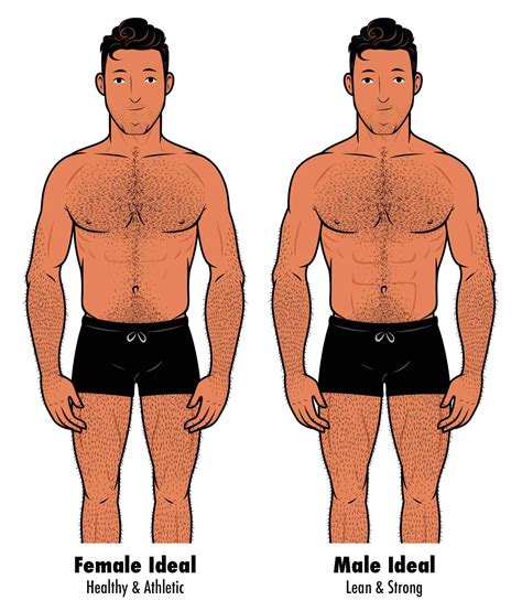 The Ideal Male Body Type According to Women (Survey Results)