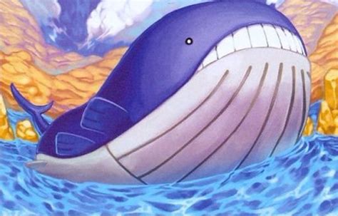 Wailord | Wiki | Pokémon Amino