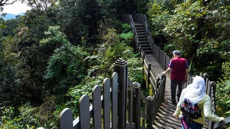 A Million Year Old Cloud Forest in Malaysia : r/malaysia