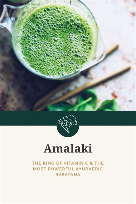 Benefits of Amalaki | Magical herbs, Vitamins, Vitamin c