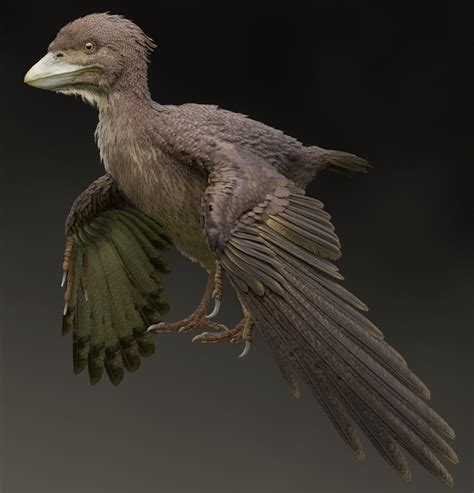 Researchers in Japan uncover fossil of bird from Early Cretaceous