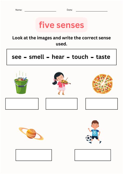 Observing Using the Five Senses Worksheets | Science for Kindergarten ...