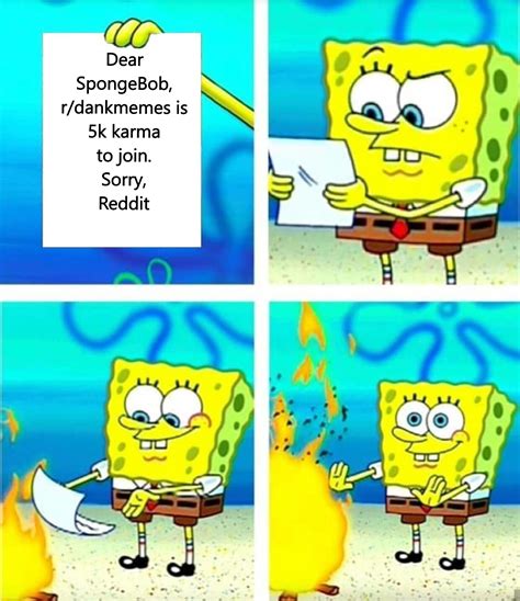 SpongeBob Meme : r/SpongebobMemes