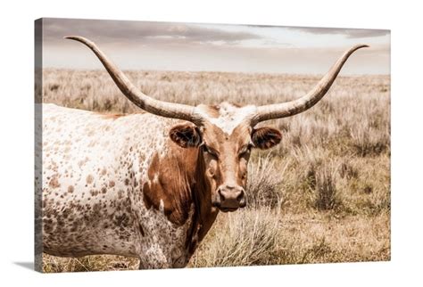 Longhorn Wall Art Texas Longhorn Cow Canvas Print Metal - Etsy | Cow ...