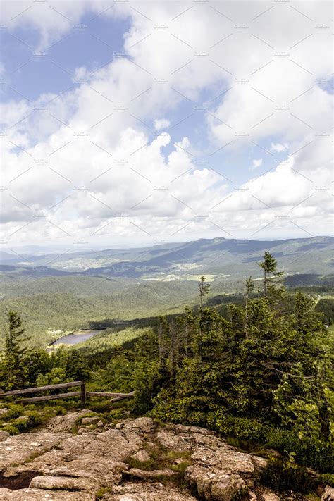 Bavarian forest nature park containing a positive, bavaria, and ...