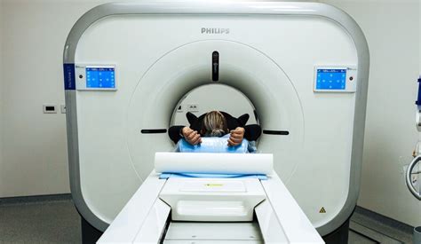 Purpose, Procedure, and Risks of Cervical Spine CT Scan | Pulse ...